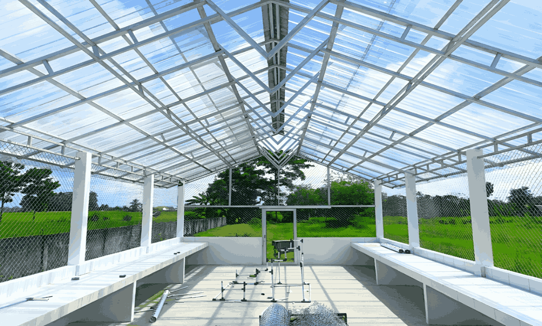 Glass Ceiling Systems